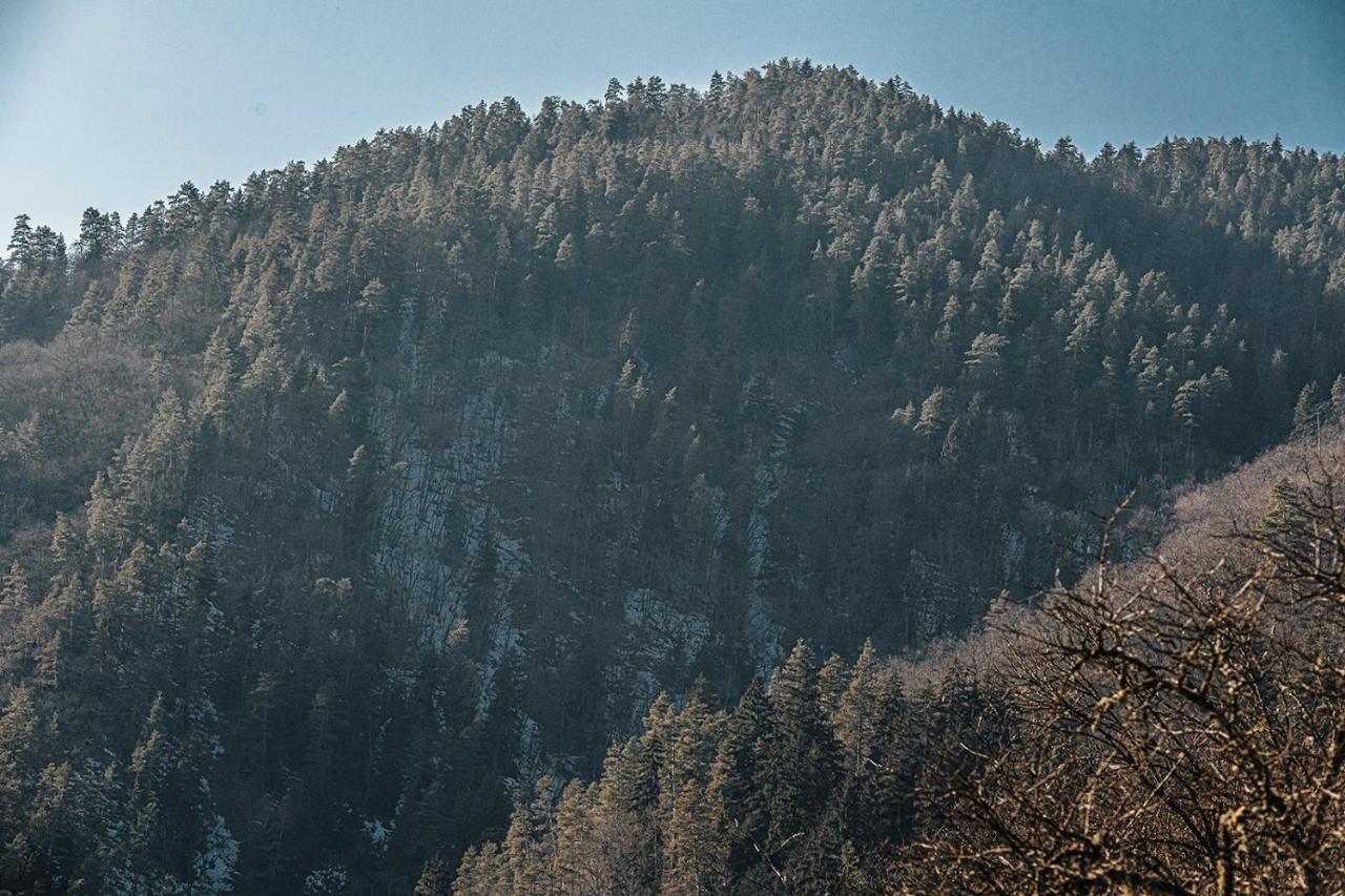 Roombox Likani Borjomi Exterior foto